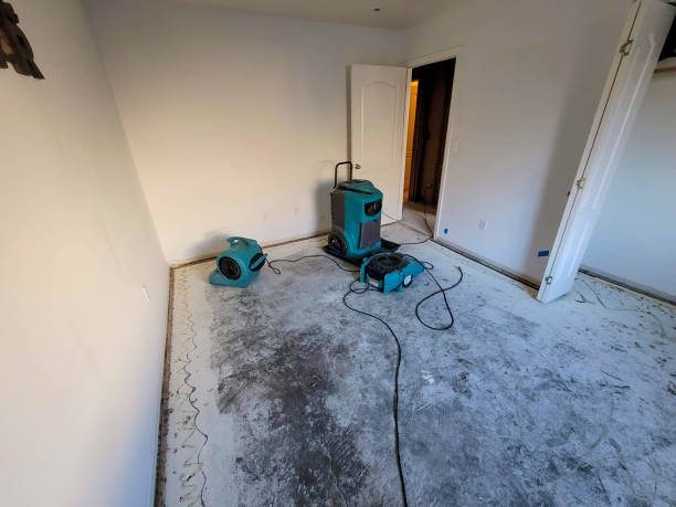 Best Sewage cleanup and water damage restoration  in Greenwood, MO
