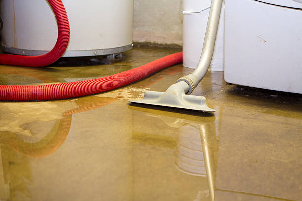 Best Water damage contractors near me  in Greenwood, MO