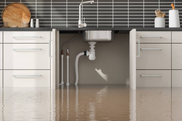 Best Water damage restoration near me  in Greenwood, MO