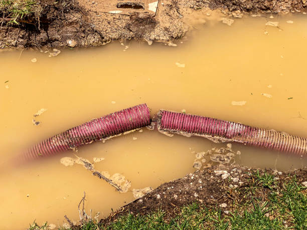 Best 24/7 water damage repair  in Greenwood, MO