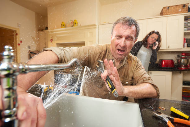 Best Ceiling water damage repair  in Greenwood, MO